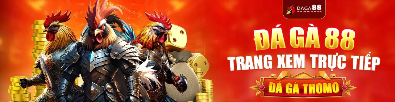 Đá Gà Trực Tuyến Hấp Dẫn tại 997bet Nổ Hũ