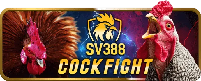 Hoàn trả hàng tuần 997bet nổ hũ